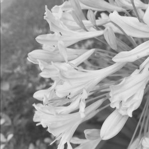 Meet your Posher, Makensie